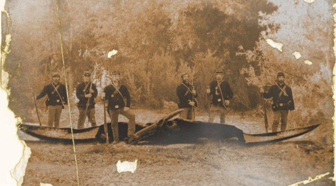 La photo du ptérosaure prise pendant la guerre civile que personne ne devrait voir! “- A lire!
