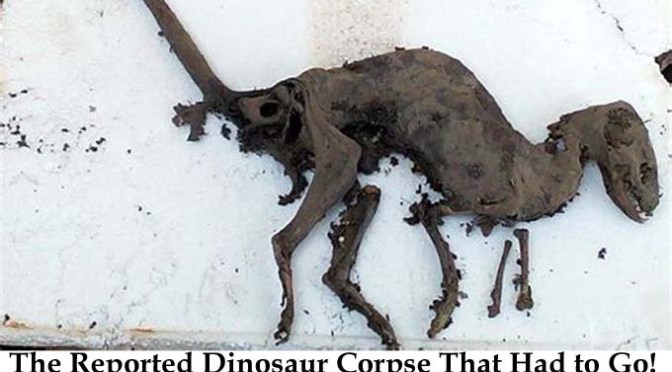 Small Dinosaur Corpse Found in India Safely Secured by Darwinians Into Forgetfulness